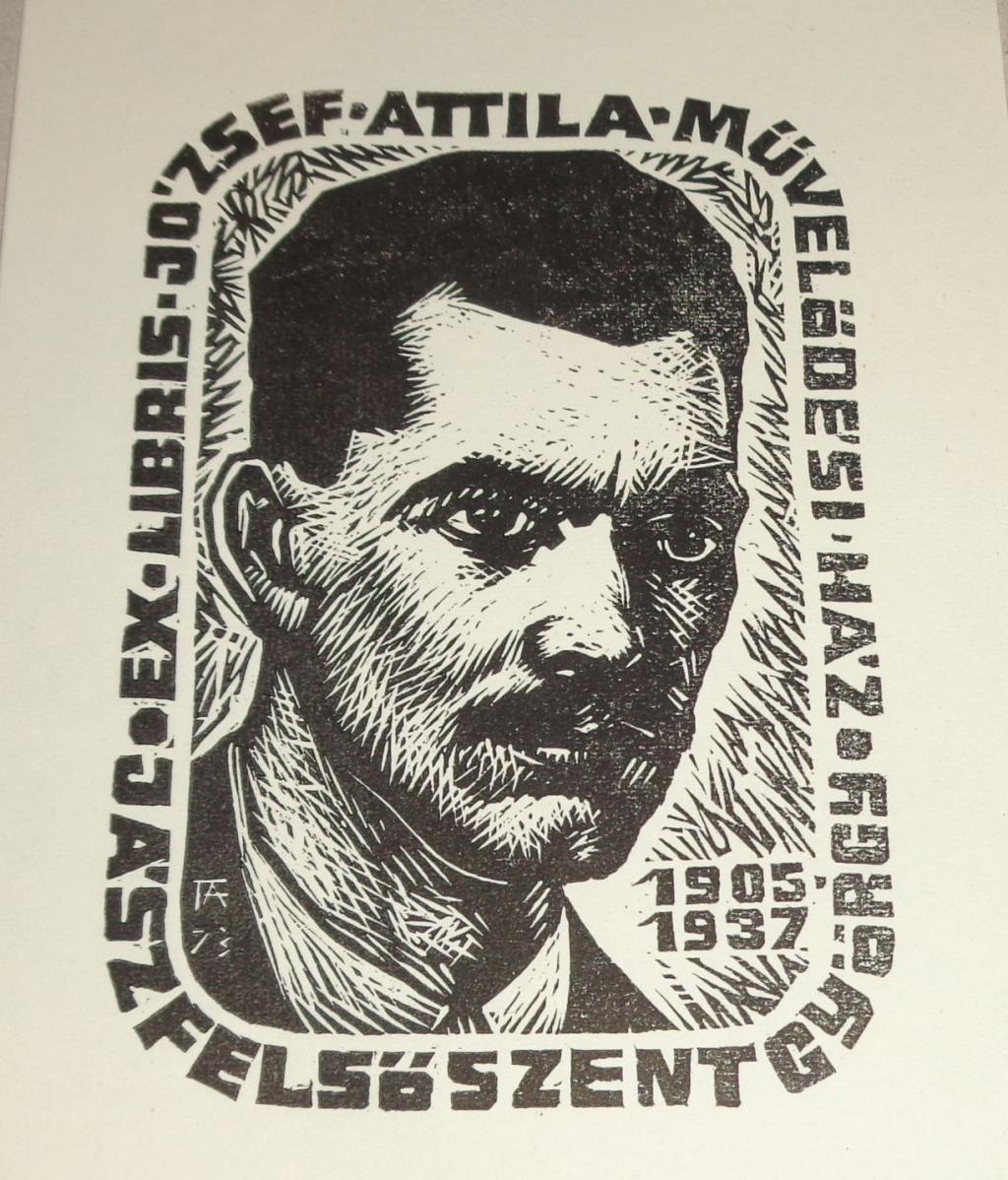 termék fotó