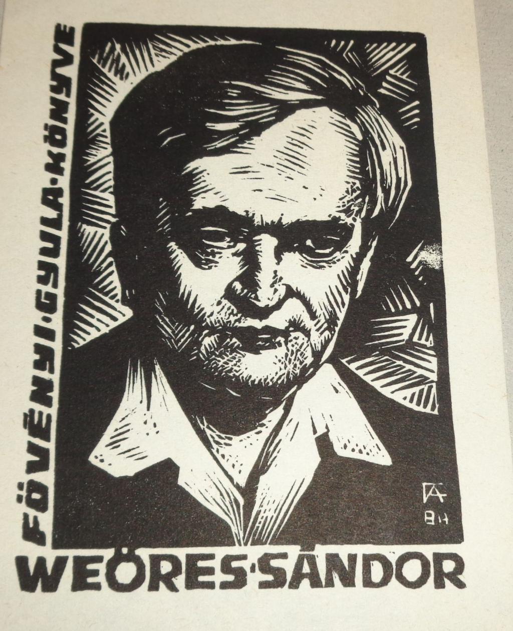 termék fotó