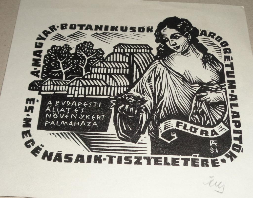 termék fotó