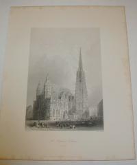 Bartlett, William: St. Stephens Church. Vienna