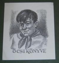 Kertes-Kollmann Jenő: Öcsi könyve