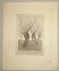 Ex libris Fritz Schweinburg