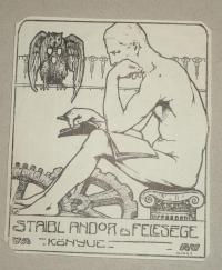 Székely Károly 1888-1941?: Staibl Andor és felesége könyve