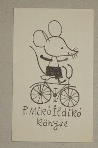 Reich Károly 1922-1988: P. Mikó Ildikó könyve