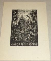 Gy. Szabó, Béla (1905 - 1985): Gábor Dénes könyve