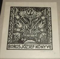 Radványi Román Károly: Boros József könyve