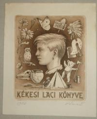 Kékesi László: Kékesi laci könyve