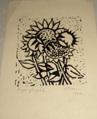 Kőhegyi Gyula: Napraforgók