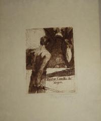 Markó Lajos (1882-1945): Reuter Camillo dr. könyve