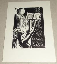 Menyhárt József (1901-1976): Nagy Emese könyve